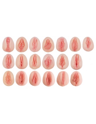 Colección de 19 modelos de vulva...